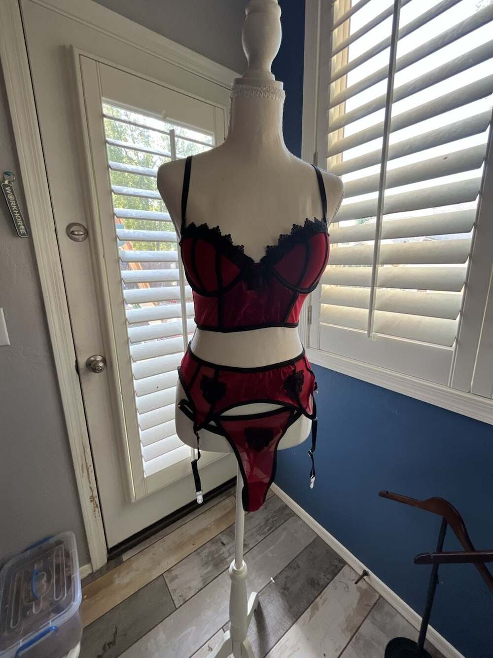 Red and Black Lace Trim Lingerie Bustier and Garter Set